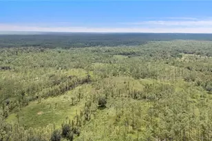 10209 Waterside Oaks Dr, Tampa, FL 33647 - Photo 57