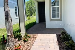 19233 Old Spanish Rd, Tampa, FL 33647 - Photo 3