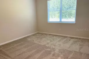 19233 Old Spanish Rd, Tampa, FL 33647 - Photo 21