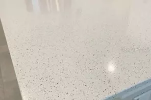 19233 Old Spanish Rd, Tampa, FL 33647 - Photo 17