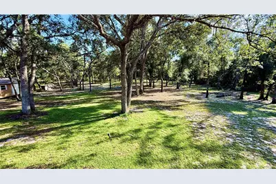 34256 Belt Drive, Dade City, FL 33523 - Photo 45