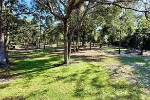 34256 Belt Dr, Dade City, FL 33523 - Photo 45