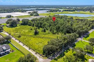 13410 Walden Sheffield Rd, Dover, FL 33527 - Photo 1