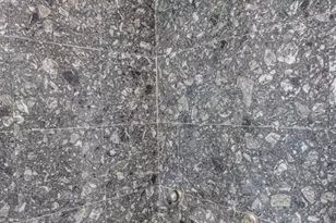 10039 88th St, Seminole, FL 33777 - Photo 29