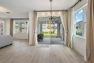 33181 Rosewood Bark Wy, Wesley Chapel, FL 33545 - Photo 13