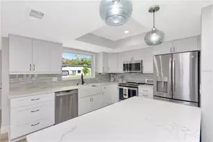 3418 Glossy Ibis Ct, Palm Harbor, FL 34683 - Photo 9