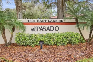 1801 E Lake Rd, Palm Harbor, FL 34685 - Photo 21