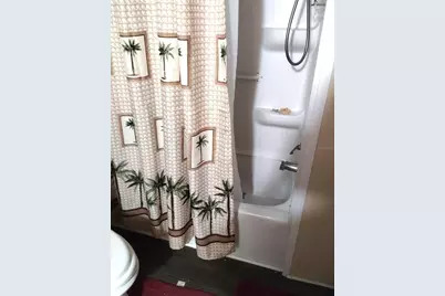 39032 Ola Avenue, Zephyrhills, FL 33542 - Photo 13