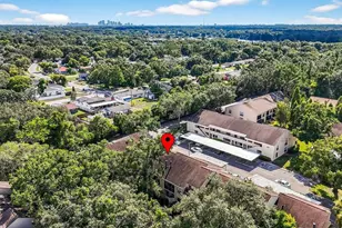 7809 Niagara Ave, Tampa, FL 33617 - Photo 35