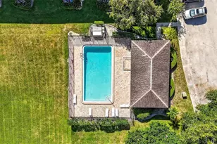 7809 Niagara Ave, Tampa, FL 33617 - Photo 39