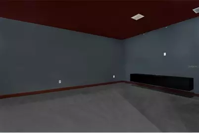 16036 Bella Woods Drive, Tampa, FL 33647 - Photo 13