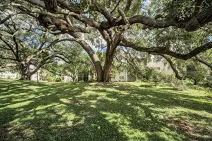 860 Virginia St, Dunedin, FL 34698 - Photo 25