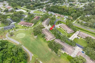 1012 Dunrobin Dr, Palm Harbor, FL 34684 - Photo 49