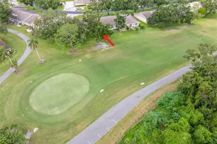 1012 Dunrobin Dr, Palm Harbor, FL 34684 - Photo 43