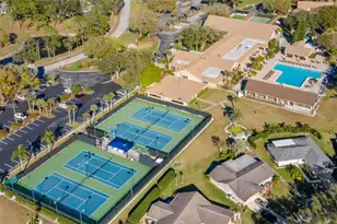 1012 Dunrobin Dr, Palm Harbor, FL 34684 - Photo 53