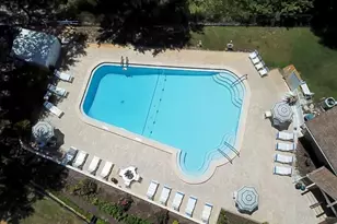 1012 Dunrobin Dr, Palm Harbor, FL 34684 - Photo 59