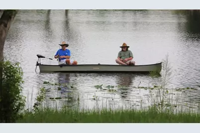 117 Bellamere Palms Court, Lutz, FL 33549 - Photo 47