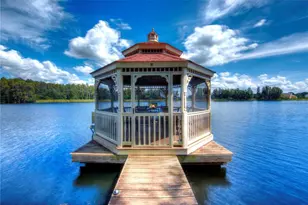 117 Bellamere Palms Ct, Lutz, FL 33549 - Photo 43