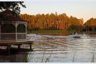 117 Bellamere Palms Court, Lutz, FL 33549 - Photo 45