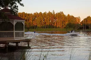 117 Bellamere Palms Ct, Lutz, FL 33549 - Photo 45