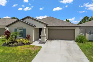 5494 Blue Azure Dr, Wimauma, FL 33598 - Photo 11