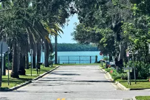 611 Lyndhurst St, Dunedin, FL 34698 - Photo 59