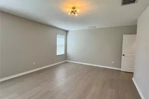 10021 Crested Fringe Dr, Riverview, FL 33578 - Photo 19