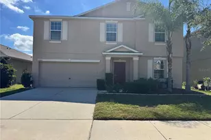 10021 Crested Fringe Dr, Riverview, FL 33578 - Photo 1