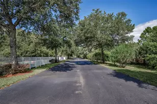 1904 Paw Paw Pl, Trinity, FL 34655 - Photo 57