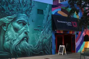 5950 Pelican Bay Plaza S, Gulfport, FL 33707 - Photo 49