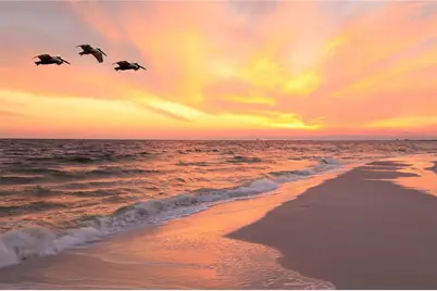 14120 Palm Street #103, Madeira Beach, FL 33708 - Photo 21