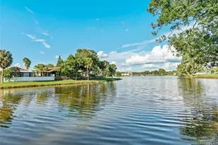 10771 Glen Ellen Dr, Tampa, FL 33624 - Photo 29