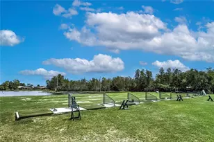 8128 Ambersweet Pl, Land O Lakes, FL 34637 - Photo 33