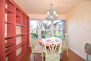 940 Virginia St, Dunedin, FL 34698 - Photo 63