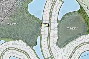 1685 Trailhead Ln, Zephyrhills, FL 33541 - Photo 39