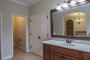 165 Mobbly Bay Dr, Oldsmar, FL 34677 - Photo 51