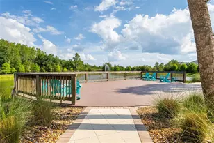 29869 Southwell Ln, Wesley Chapel, FL 33543 - Photo 41