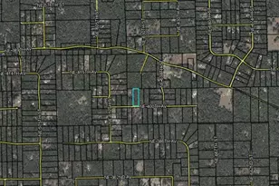 NE 400 Ave, Old Town, FL 32680 - Photo 1