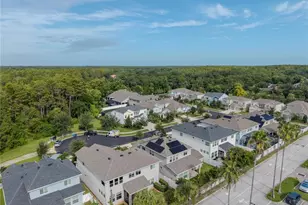 16409 Lucia Gardens Ln, Tampa, FL 33625 - Photo 35