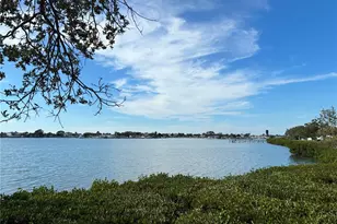 1150 Rue Des Reines, South Pasadena, FL 33707 - Photo 41
