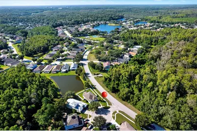 15614 Heartleaf Court, Land O Lakes, FL 34638 - Photo 19