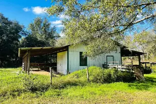 6810 Pearson Ln, Wesley Chapel, FL 33544 - Photo 17