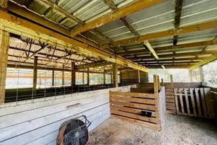 6810 Pearson Ln, Wesley Chapel, FL 33544 - Photo 15