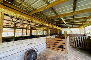 6810 Pearson Ln, Wesley Chapel, FL 33544 - Photo 23