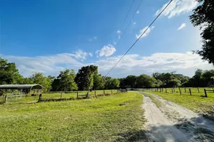 6810 Pearson Ln, Wesley Chapel, FL 33544 - Photo 5