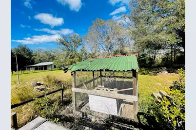 6810 Pearson Lane, Wesley Chapel, FL 33544 - Photo 15