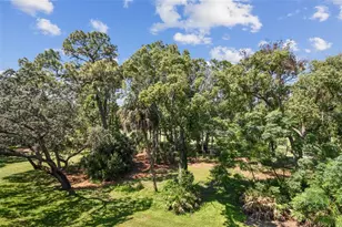 36750 US Hwy 19 N, Palm Harbor, FL 34684 - Photo 33