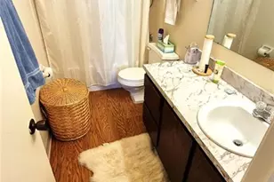 3807 N Oak Dr, Tampa, FL 33611 - Photo 7