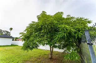 2921 W La Salle St, Tampa, FL 33607 - Photo 49