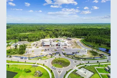 21430 Starry Eyes Way, Land O Lakes, FL 34637 - Photo 97